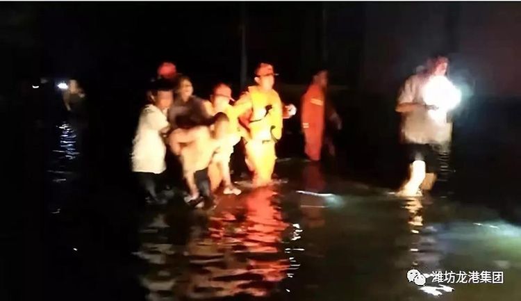 弘揚(yáng)正能量——龍港集團(tuán)員工見(jiàn)義勇為事跡！