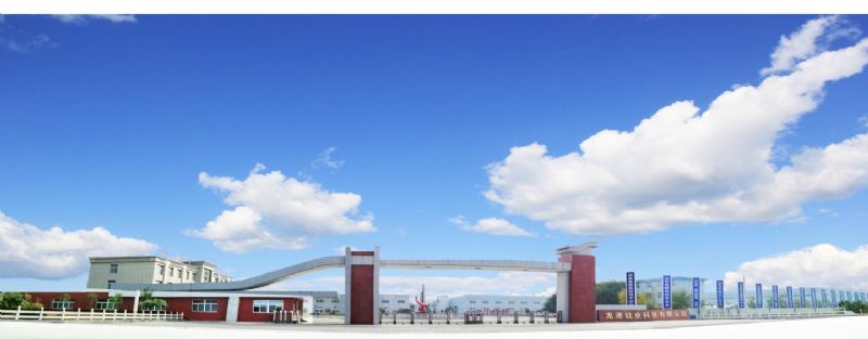 回首過去，不忘初心；展望未來，砥礪前行丨2019，龍港再出發(fā)！