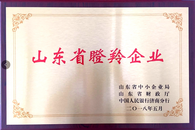 回首過去，不忘初心；展望未來，砥礪前行丨2019，龍港再出發(fā)！