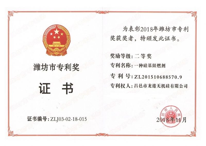 回首過去，不忘初心；展望未來，砥礪前行丨2019，龍港再出發(fā)！