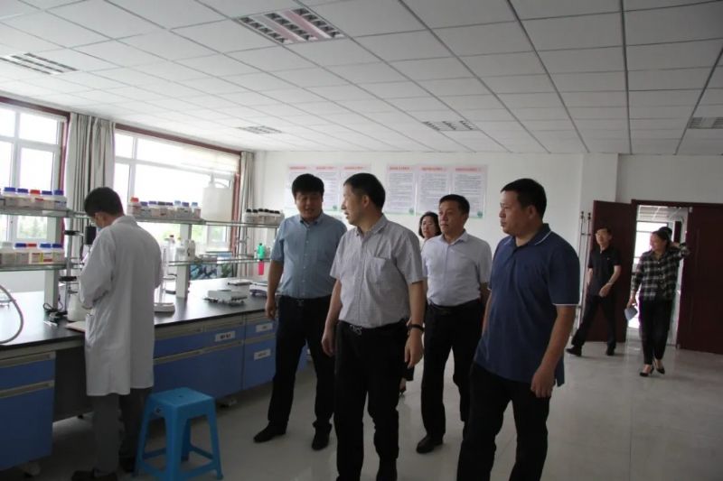 人才強企新高地:中國工程院王玉忠院士與龍港集團簽訂合作協(xié)議