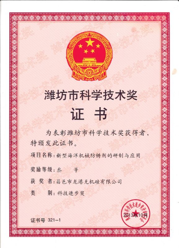 【喜訊】龍港硅業(yè)公司喜獲濰坊市科技進(jìn)步獎(jiǎng)一等獎(jiǎng)！